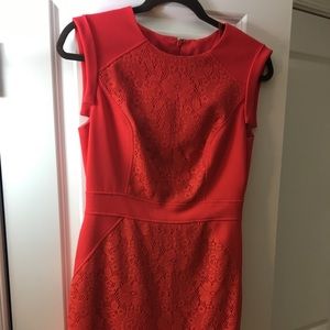 Adriana Papell orange lace dress
